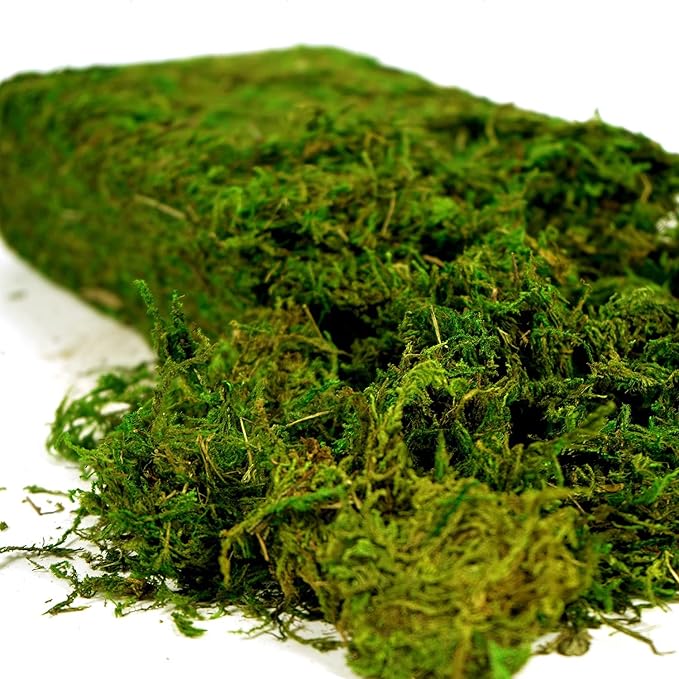 USMOLA Artificial Moss, 16OZ Fake Moss by USMOLA