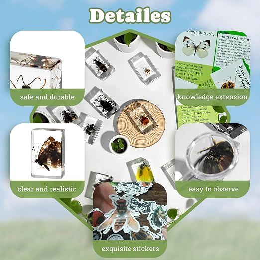 12 PCS Real Insect Resin Specimen, Science Education Bug Collection | Preserved - Image 4