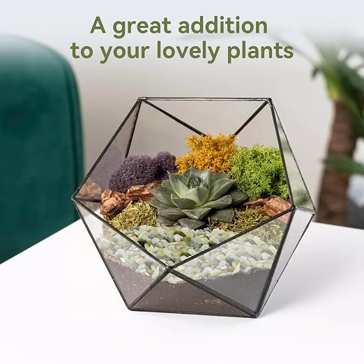 Pulovin 5LB Succulent and Cactus Pebbles, 1/5 Inch Jade Pebbles - Image 4