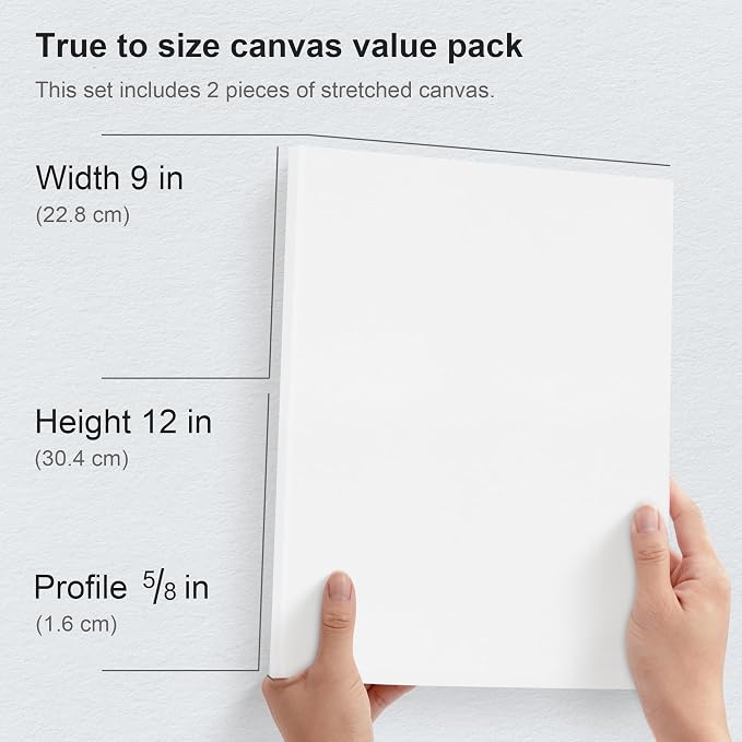 PHOENIX 9x12 Inch Pack of 2 Canvas - Image 2