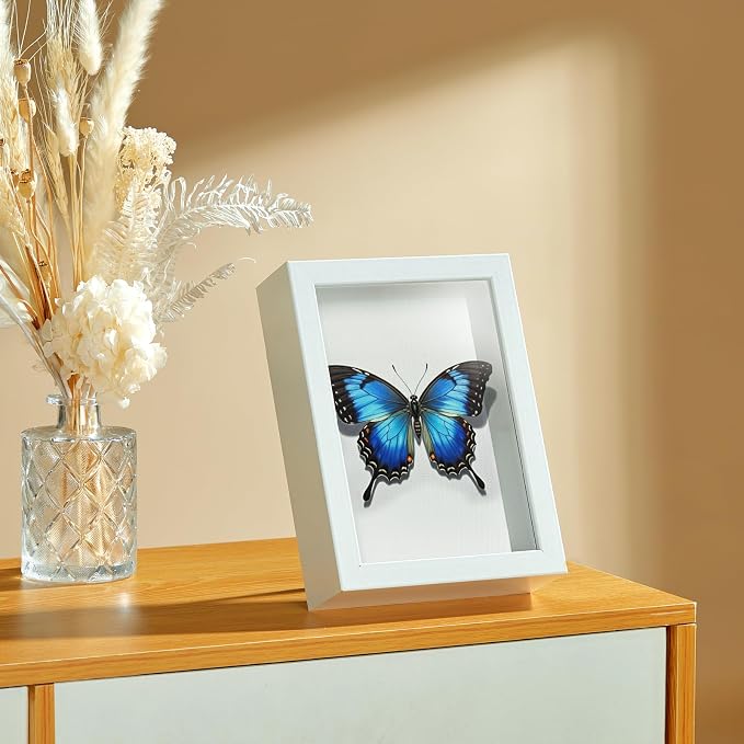 4x6 Small Shadow Box Picture Frame - Image 8