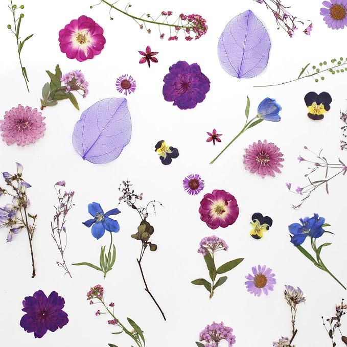 40 Pcs Purple Dried Pressed Flowers Real Natural - Image 4