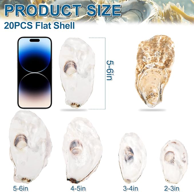 20PCS Flat Oyster Shells 5"-6" Extra Large Oyster Shells - Image 2