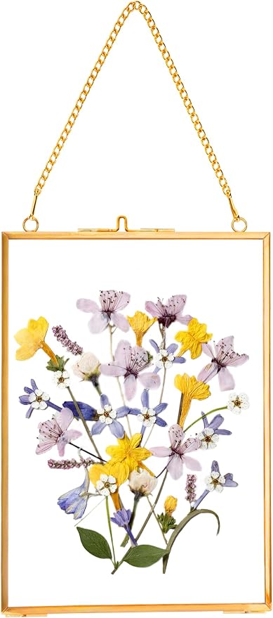 REDHUGO Hanging Pressed Flower Frames, Double Glass Floating Picture Frame by REDHUGO
