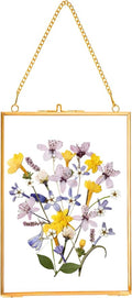REDHUGO Hanging Pressed Flower Frames, Double Glass Floating Picture Frame by REDHUGO