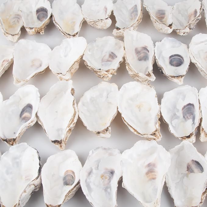 QEQEKAKA 30PCS Oyster Shells Flat & Concave 5"-6" Extra Large Oyster Shells - Image 5