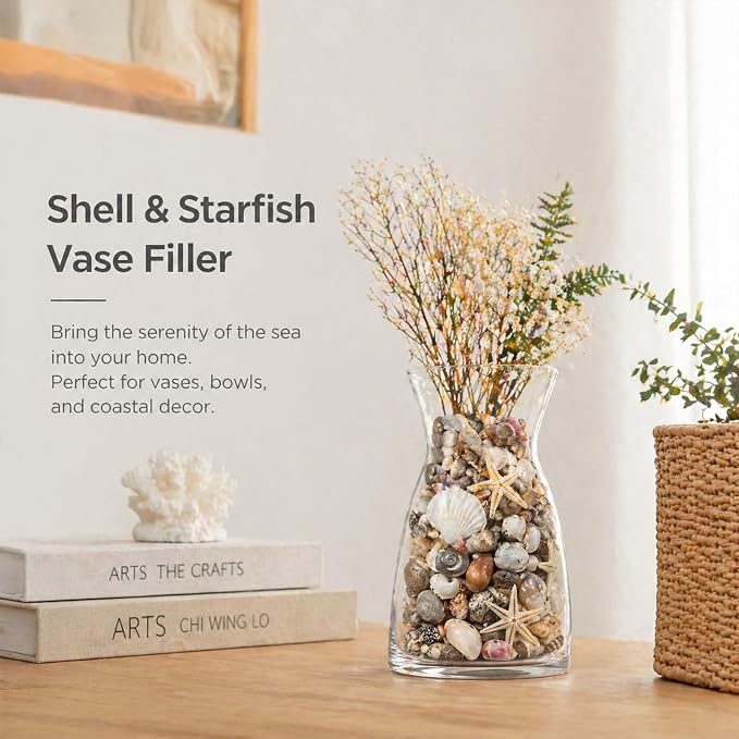 1300Pcs Tiny Sea Shells Mini Small Clam Cowrie Starfish - Image 4