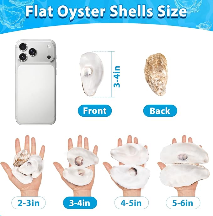 30Pcs Flat Oyster Shells for Crafts, 3-4 Inch Cleaned Natural Oyster Shells for - Image 5