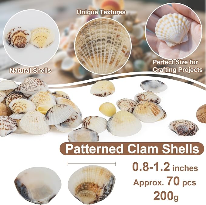 MAQIHAN 60 PCS Small Sea Shells - Image 2