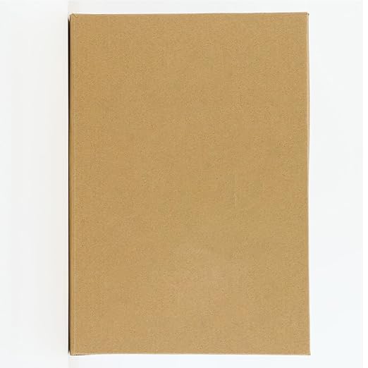 Digital Caliper, (ABS) Absolute Scale Caliper 8in, IP54 Electronic Measuring Tool, Inch/MM/Fraction, Auto-Off LCD Stainless Steel Waterproof Micrometer Vernier Caliper, with Feeler Gauges