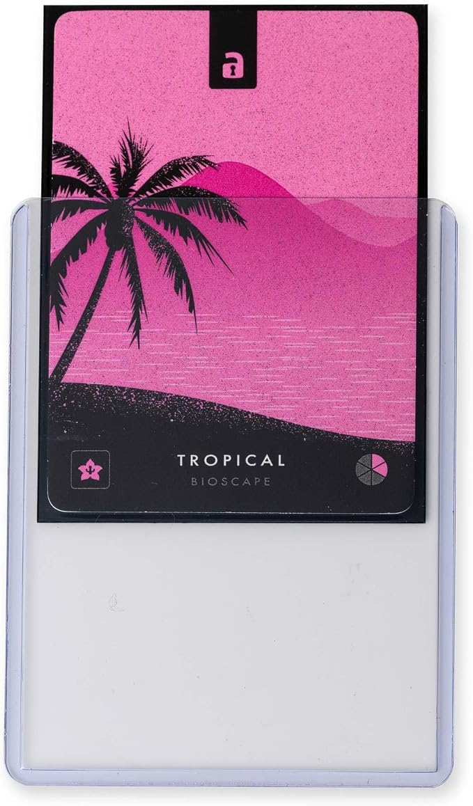 Vault X 35pt Toploaders 3" x 4" Rigid Card Holders - Image 3