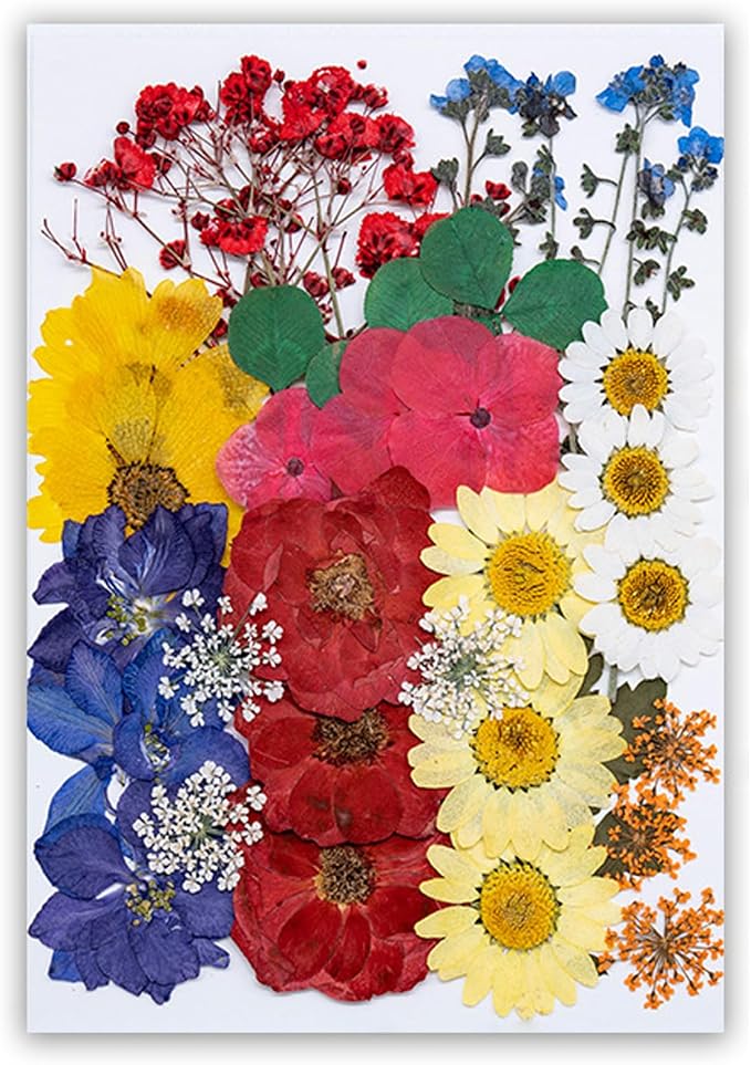 35Pcs Dried Pressed Flowers Leaves by TopFunny
