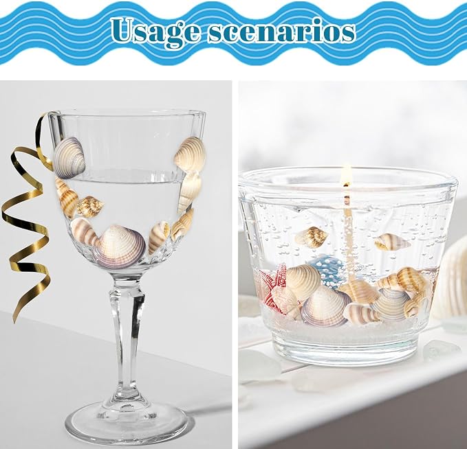 Seashells for Crafts Natural Mixed Seashells, 4 Pack Box, Small Shells for - Image 5