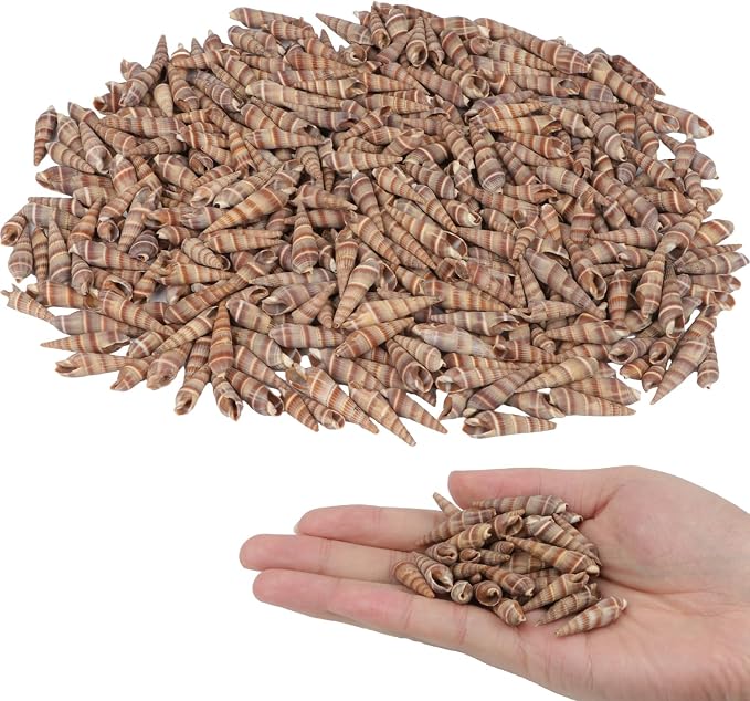 400 PCS Mini Sea Shells Natural Small Seashells, 0.6"-1.4" Tiny Sea Shells by Unknown