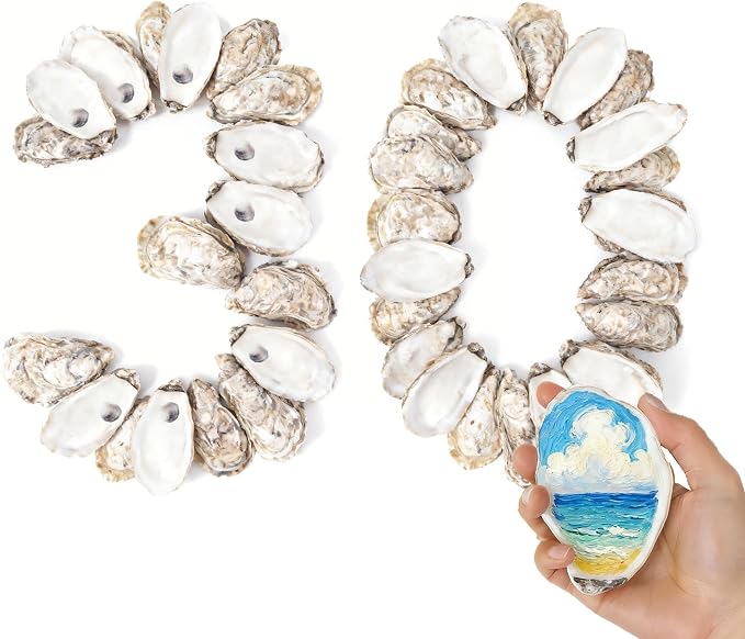 30Pcs 4"-6'' Oyster Shells for Crafts Large Oyster Shells for Crafts Christmas by DDDDECADE