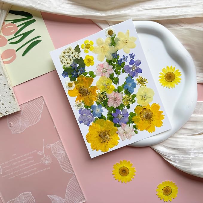MIKIYA 34Pcs Pressed Dried Flowers - Image 3