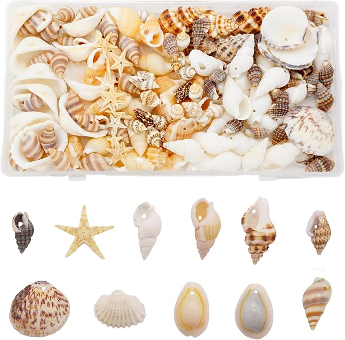 yaokan Natural Sea Shells & Starfish Set Drilled Beach Conchs | Jewelry DIY by yaokan