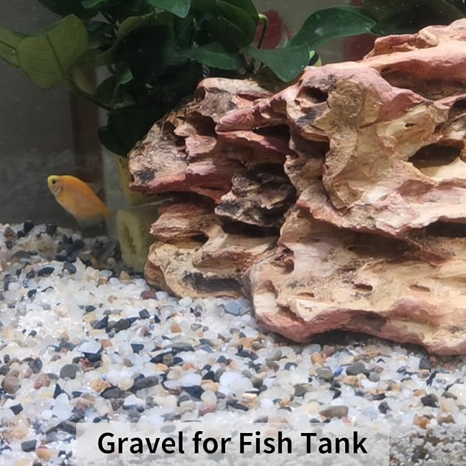 FANTIAN 5 lbs Pebbles for Plants, 3/8 Inch Tiny Pea Gravel. Decorative - Image 3