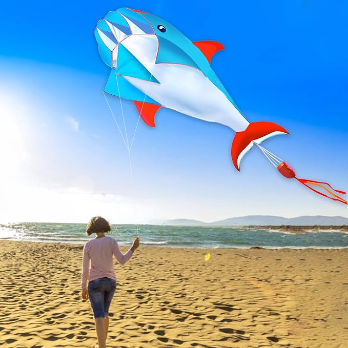 HENGDA KITE 3D Kite for Kids and Adults, Excellent Fabric and Structure - Image 4