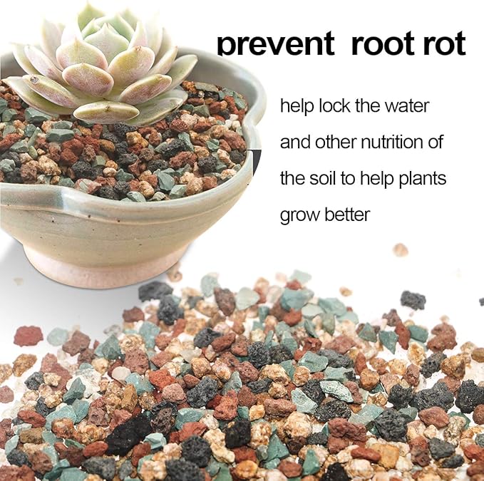 TOYPOPOR Mix Horticultural Lava Rock Pebbles Pumice Potting Soil Amendment - Image 3