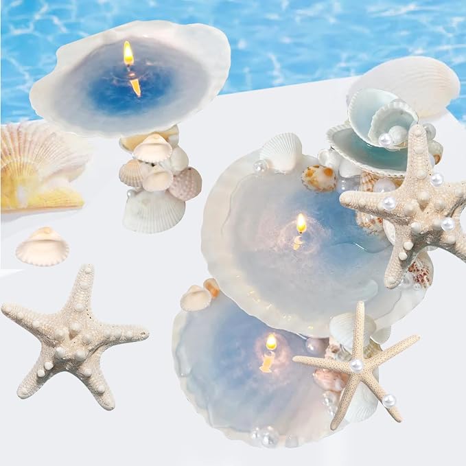 JQAQJU 16PCS Starfish and Scallop Shells - Image 7