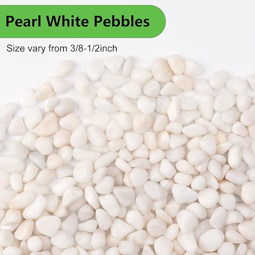 Pulovin 5 lbs White Pebbles for Vases, 3/8" Small Plant Rocks for Pots Indoor - Image 2
