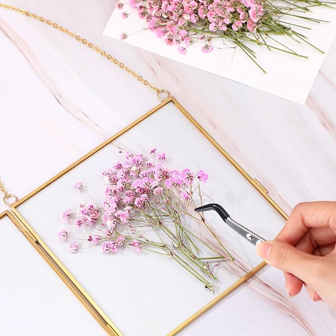 Tinideya 100 Pcs Dried Babys Breath Flowers Bulk Babys Breath Real Pressed - Image 5