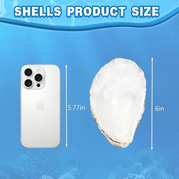 30Pcs 5"-6" Concave Oyster Shells - Image 2