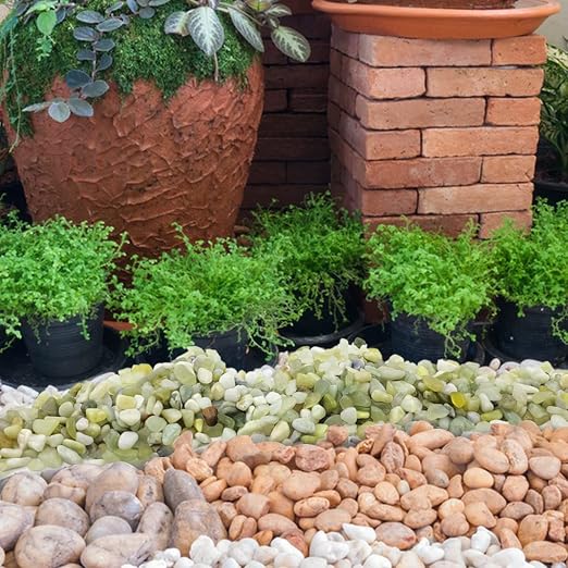 YISZM 2LB Succulent and Cactus Jade Pebbles, 3/8 Inch Natural Decorative - Image 6