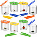 Halloscume 8 Pack Bug Catcher for Kids Bug Viewer by Halloscume