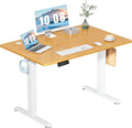 DUMOS 48 Inch Electric Standing Desk Height Adjustable, Sit to Stand Up by DumosLifestyle