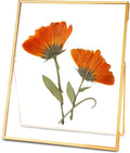 REDHUGO Glass Pressed Flower Frame Handmade, Floating Picture Frames by REDHUGO