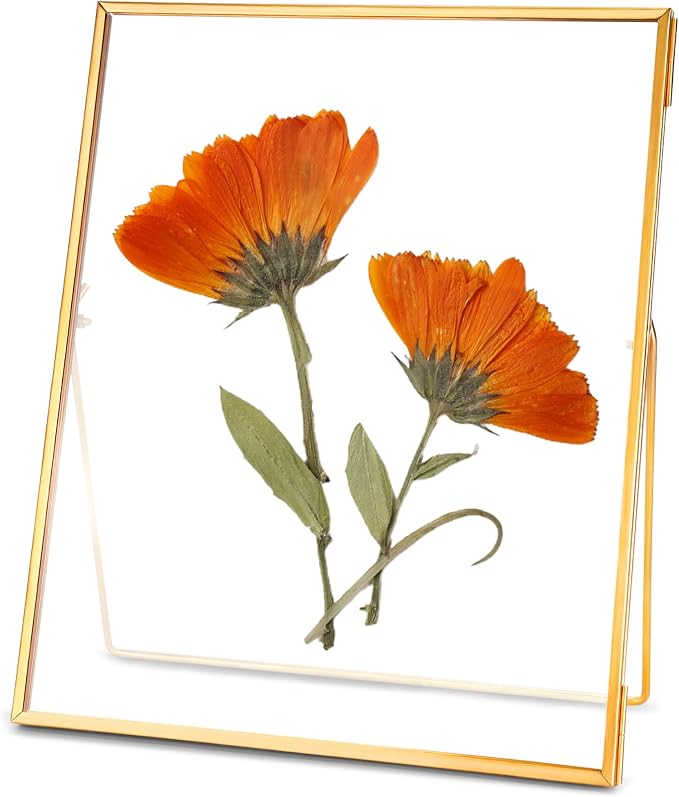 REDHUGO Glass Pressed Flower Frame Handmade, Floating Picture Frames by REDHUGO
