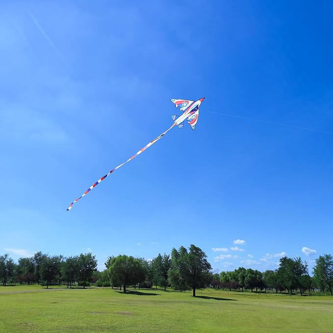 Large Single Line Beach Kite for Adults - Image 3