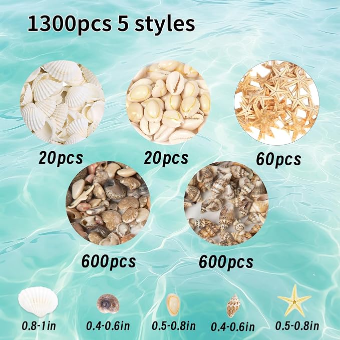 1300Pcs Tiny Sea Shells Mini Small Clam Cowrie Starfish - Image 2