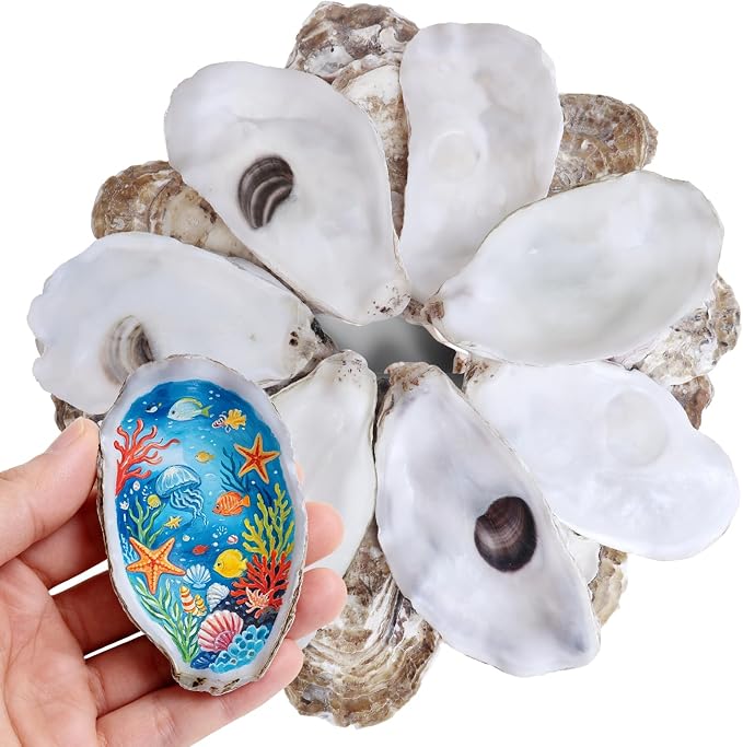 20Pcs Flat Oyster Shells 3-4 Inch, Cleaned Natural Oyster Shells by Unknown