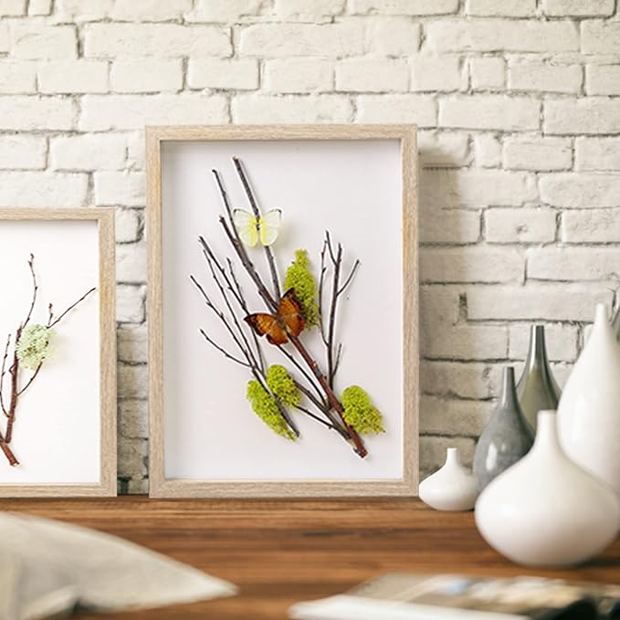 8x10 Shadow Box Frame Display Case - Image 4