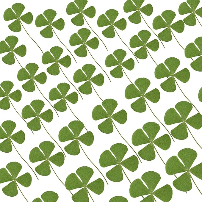 48 Pcs Mix Natural Dried Pressed 4 Leaf Clover by AHTONG