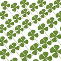 48 Pcs Mix Natural Dried Pressed 4 Leaf Clover by AHTONG