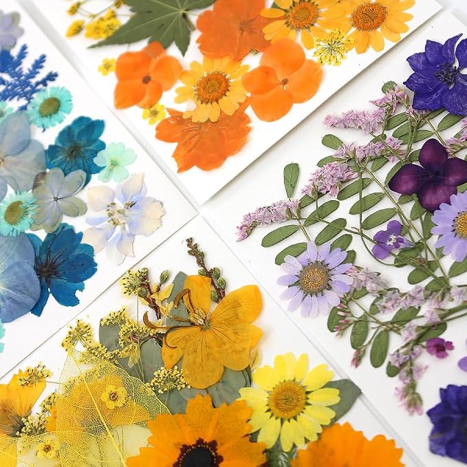 180Pcs Dried Pressed Flowers, Natural Dried Flowers Bulk - Image 5