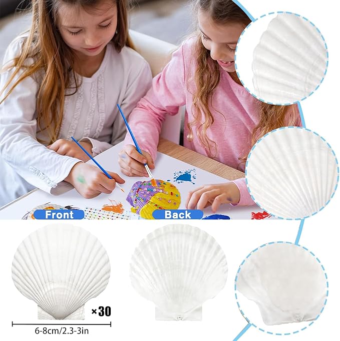 30PCS Natural Scallop Shells 2.3''-3'' White Sea Shells - Image 3