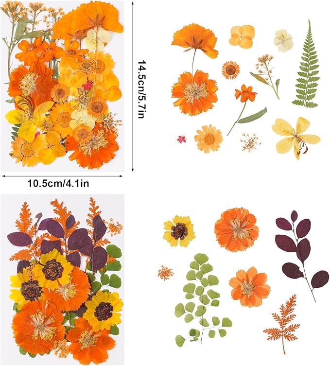 100 Pcs Fall Dried Pressed Flowers - Image 2