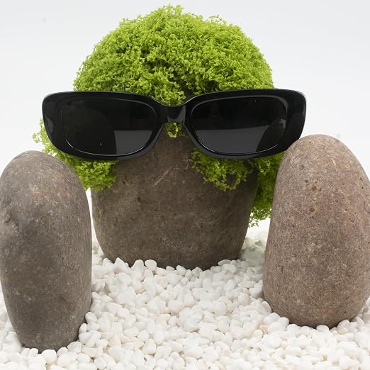 40 LBS Natural Large River Stones – 4-7 Inch Pebbles - Image 6