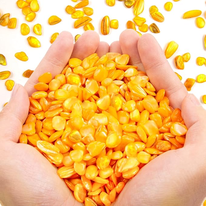 QICQDRAM Crushed Shells for Crafts About 1LB Small Natural Crushed Shells Bulk by QICQDRAM