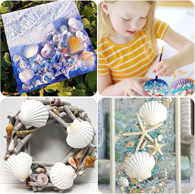YUJUN 32PCS Natural Scallop Shells - Image 7