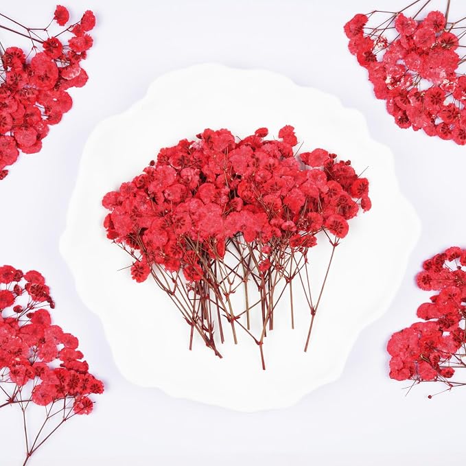 50Pcs Red Babys Breath Dried Pressed Flowers - Image 3