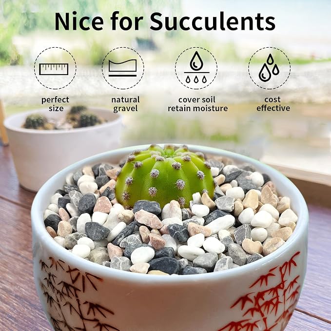 FANTIAN 5 lbs Succulent and Cactus Pebbles - Image 4