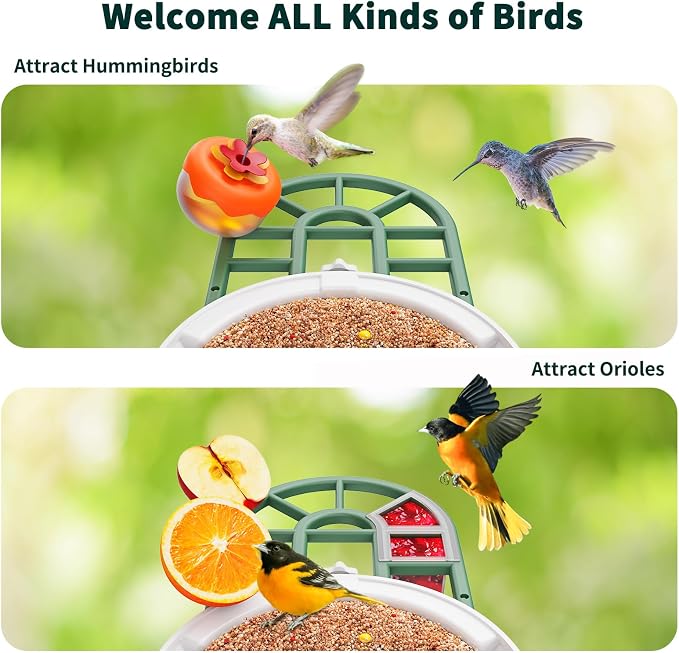 HARYMOR Smart Bird Feeder with Camera - Image 4