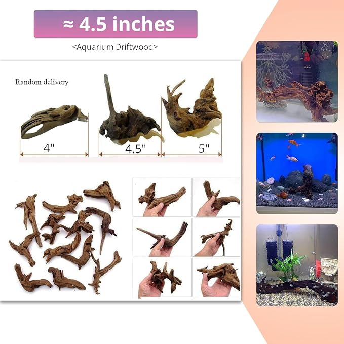 Hamiledyi 12Pcs Small Driftwood - Image 3