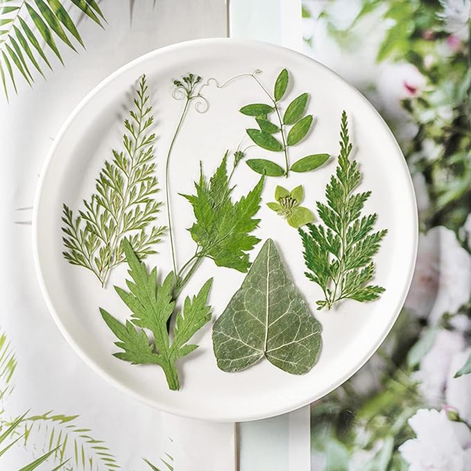 84 Pcs Dried Leaves Pressed Flowers - Image 4